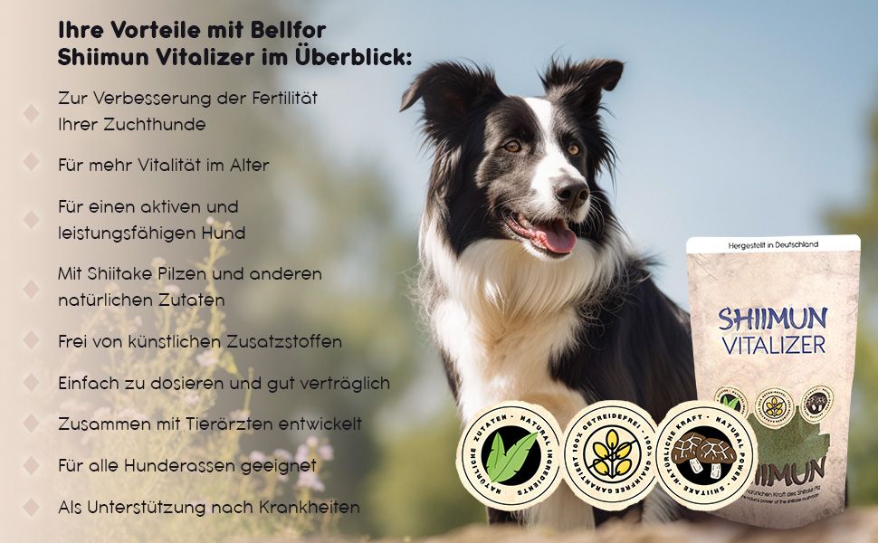 Hund neben Shiimun Vitalizer-Beutel. Logo, Siegel, Text. Natürliche Zutaten.