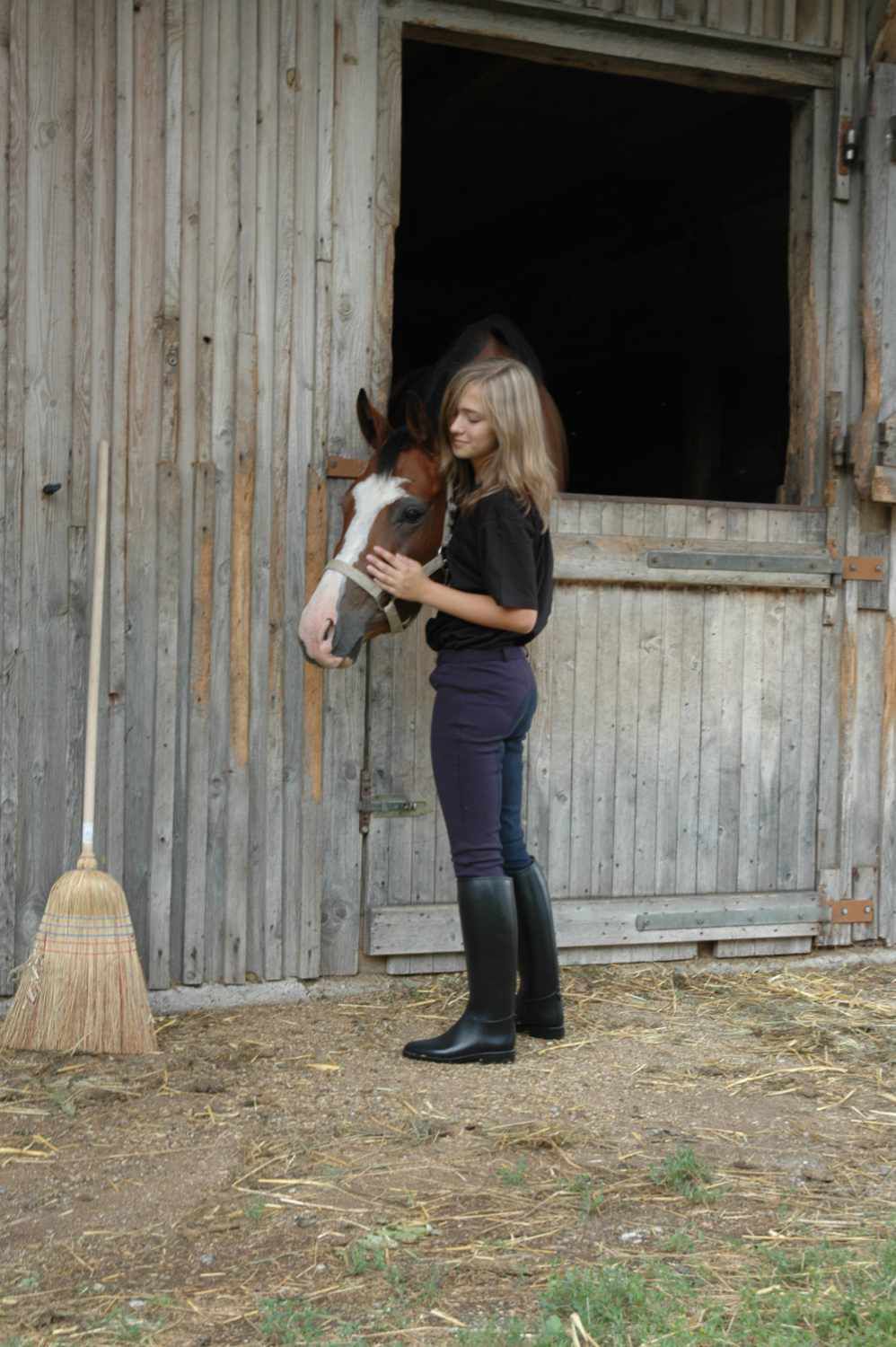 Person mit Pferd in Stall. Pferd mit Halfter. Person berührt Pferd. Holzstall. Besen steht an der Wand.