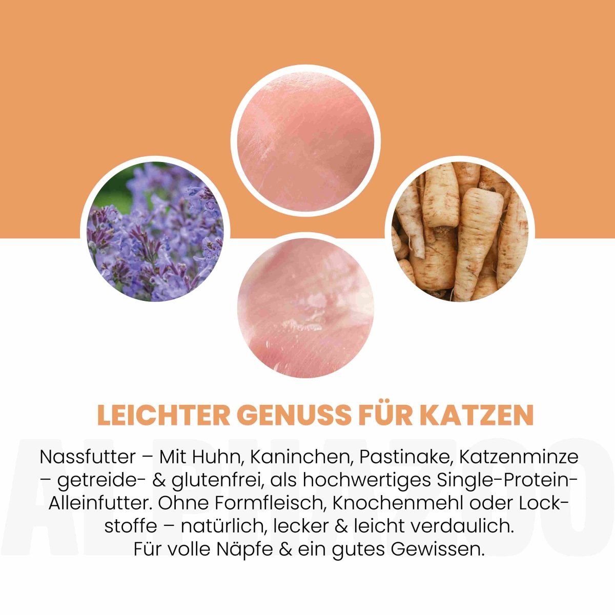 Orangefarbener Hintergrund mit Text: Leichter Genuss für Katzen. Abgebildet: Zutaten wie Lavendel, Fleisch, Pastinake. Getreide- & glutenfrei.