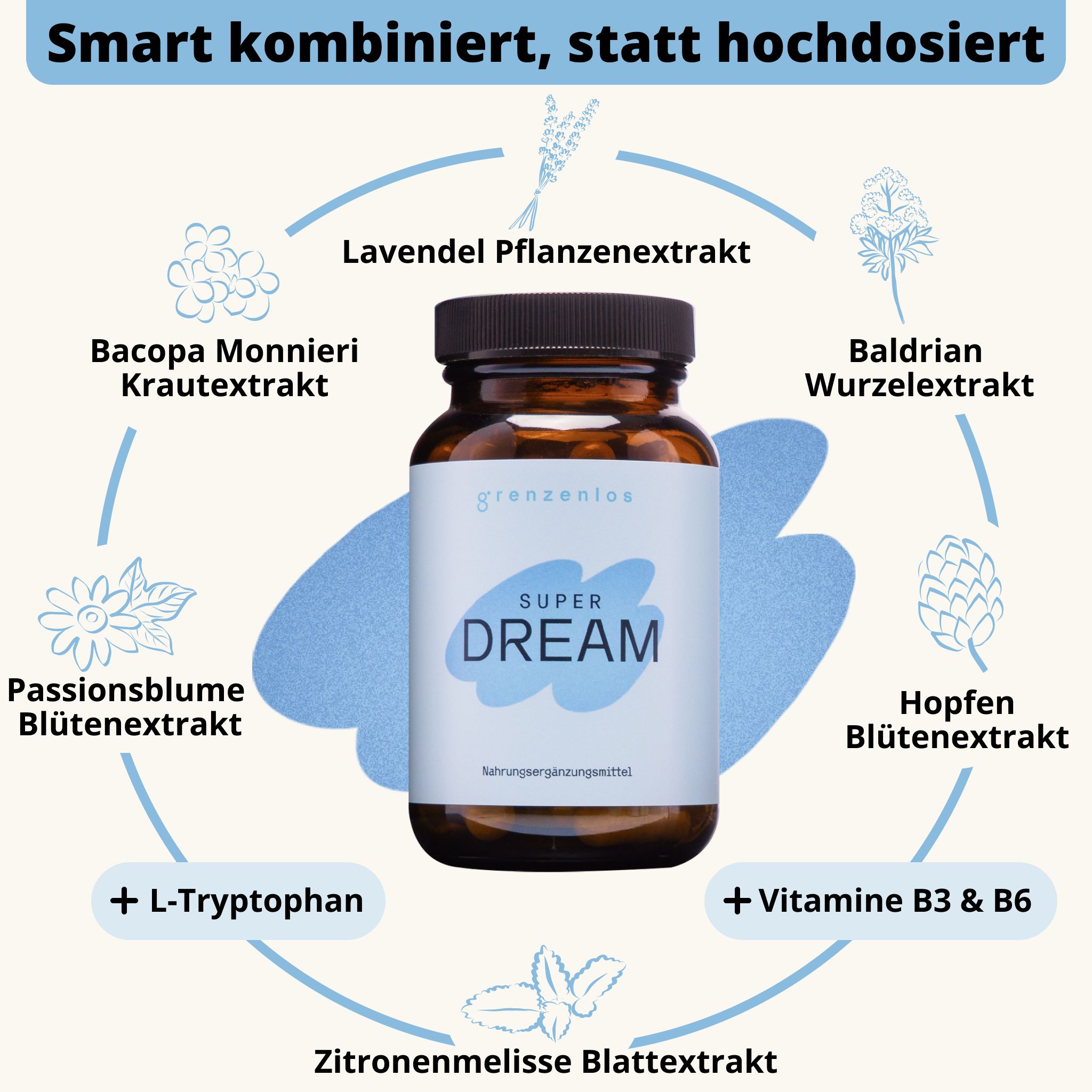 Schema der Inhaltsstoffe von grenzenlos® SUPER DREAM: Baldrian, Lavendel, Hopfen, L-Tryptophan, Vitamine B3/B6.