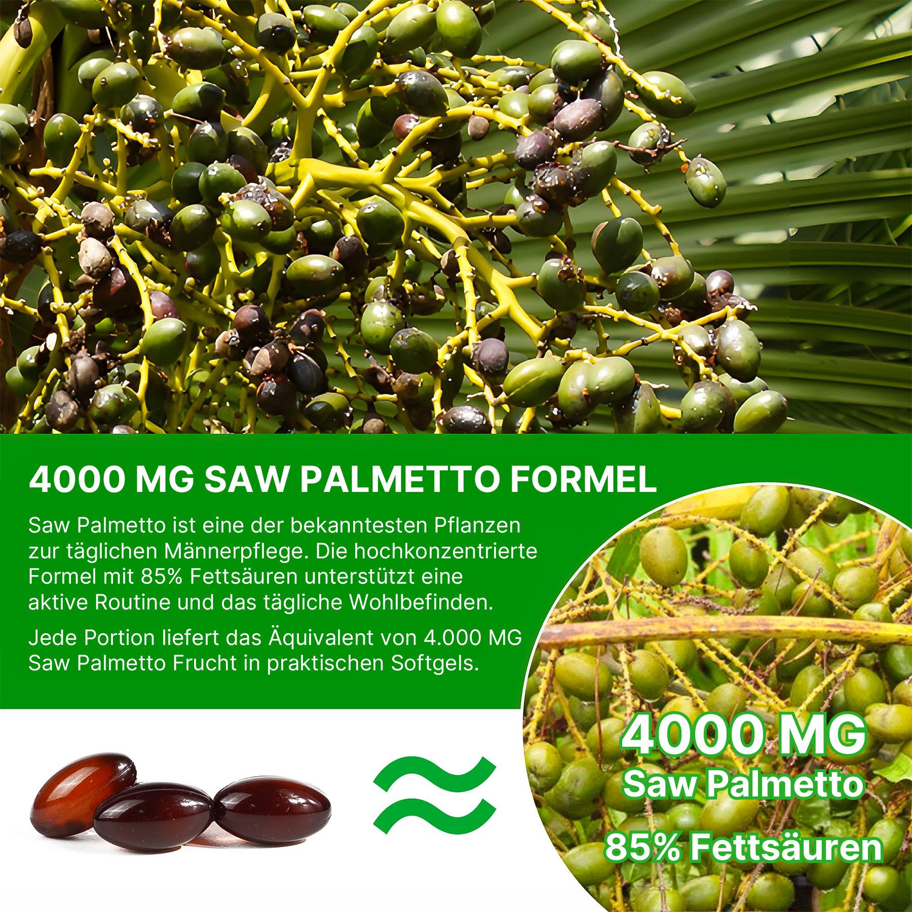 Acentiallabs Saw Palmetto Extrakt Sägepalmenextrakt Kürbiskernöl Hochdosiert Softgels