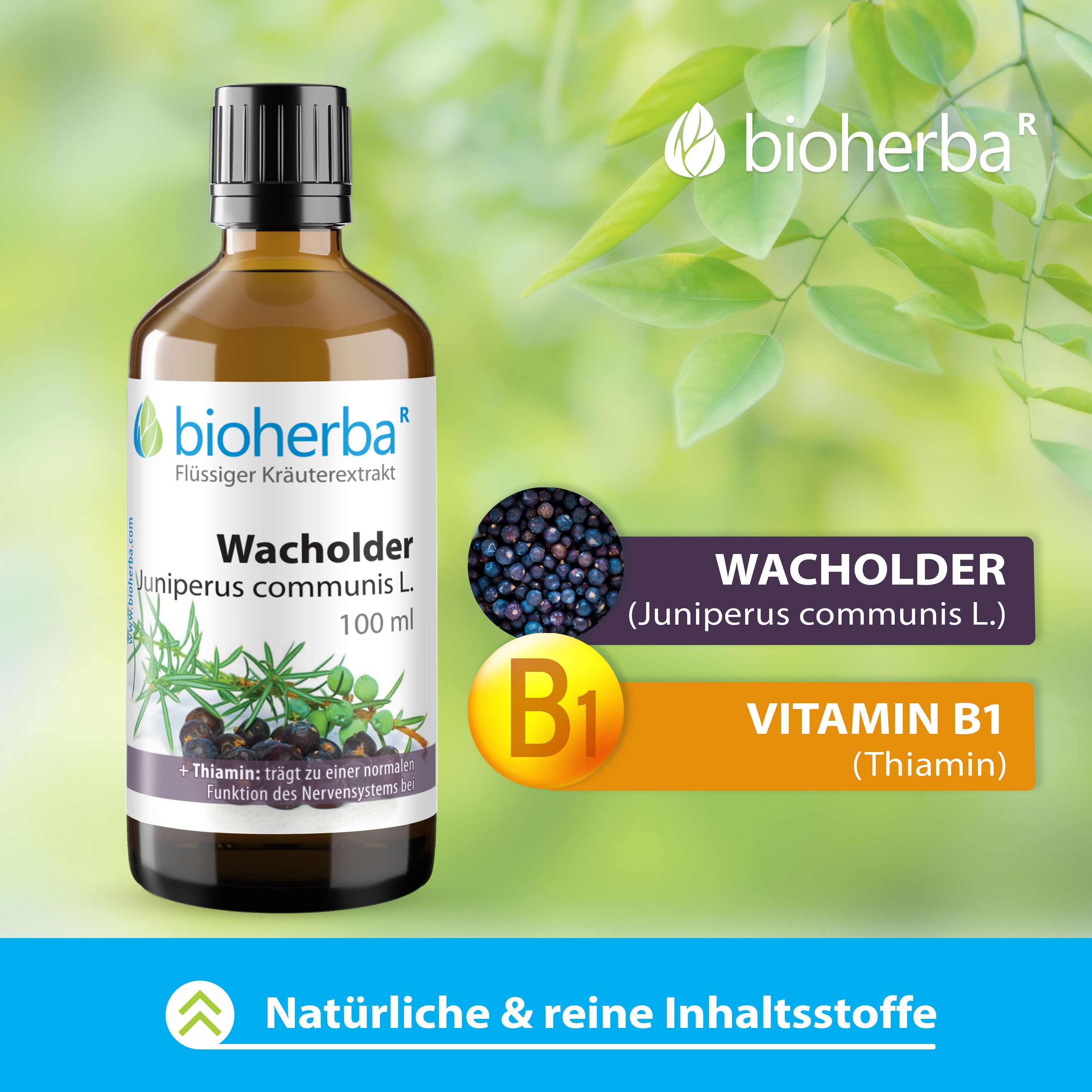 Braune Glasflasche mit schwarzem Deckel. Etikett: Bioherba Wacholder Tinktur, 100 ml. Wacholderbeeren und Zweig. Text: + Thiamin.