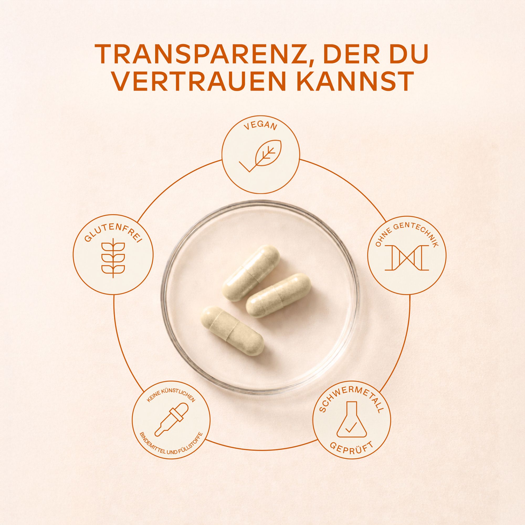 Drei Kapseln auf einem Teller. Symbole für vegan, glutenfrei, ohne Gentechnik, etc.