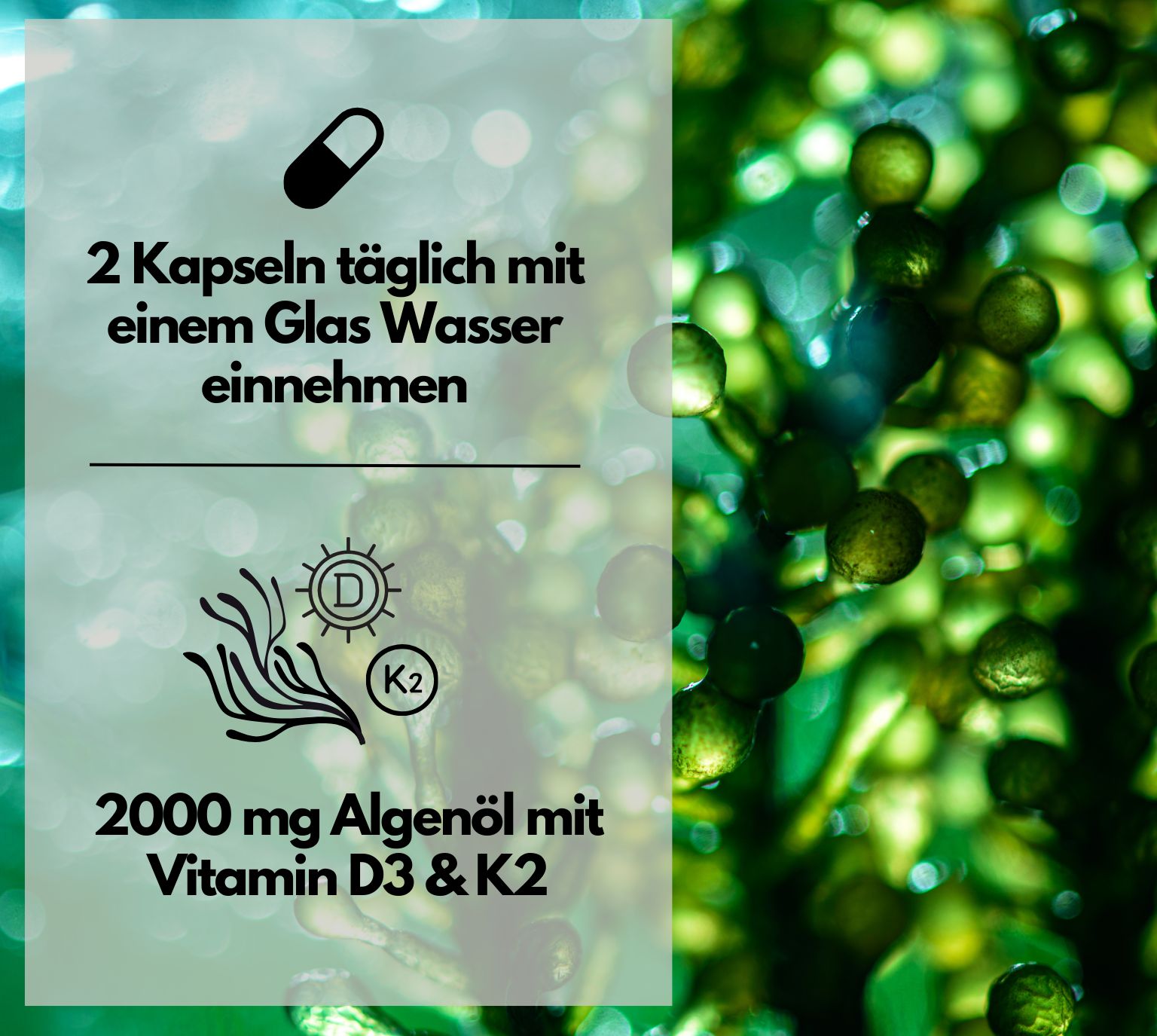 EXVital® Omega 3 + D3 & K2 Kapseln aus Algenöl, hochdosiert & vegan