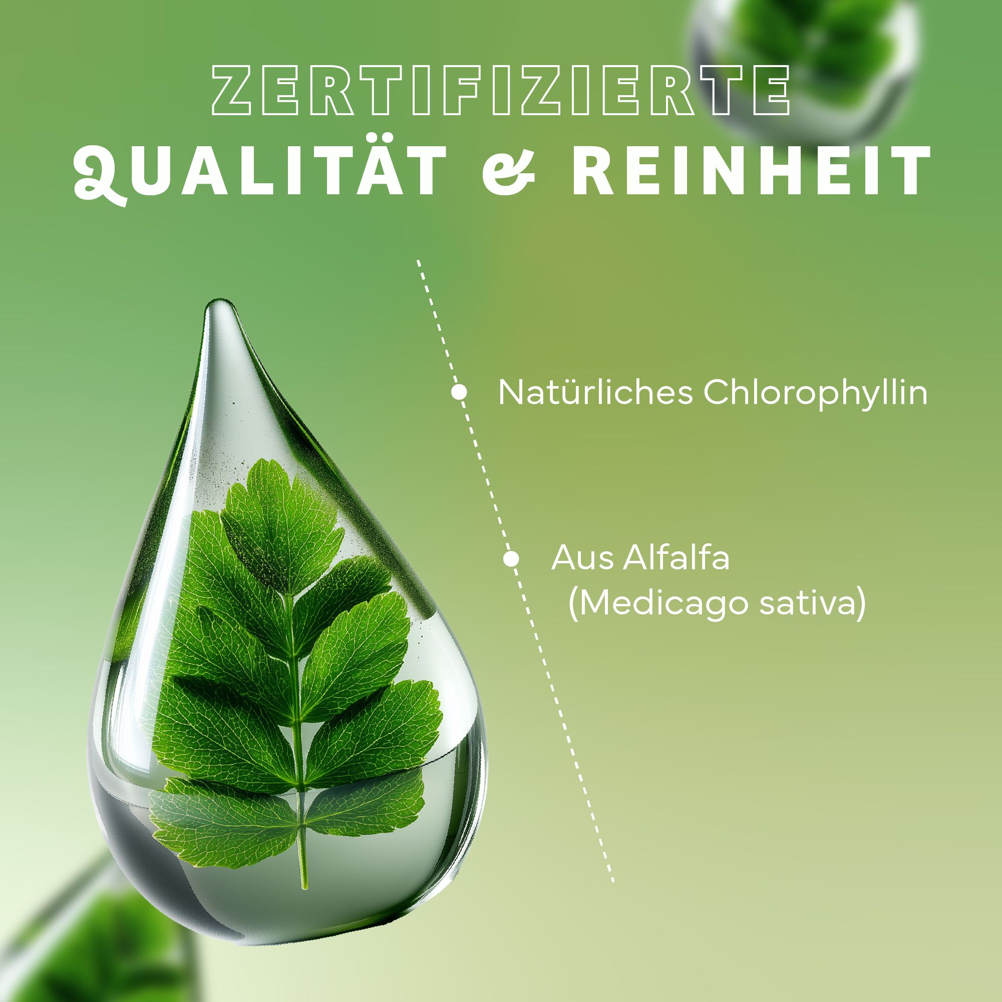 Tropfenform mit Blatt. Text: Zertifizierte Qualität & Reinheit, Natürliches Chlorophyllin, Aus Alfalfa (Medicago sativa).