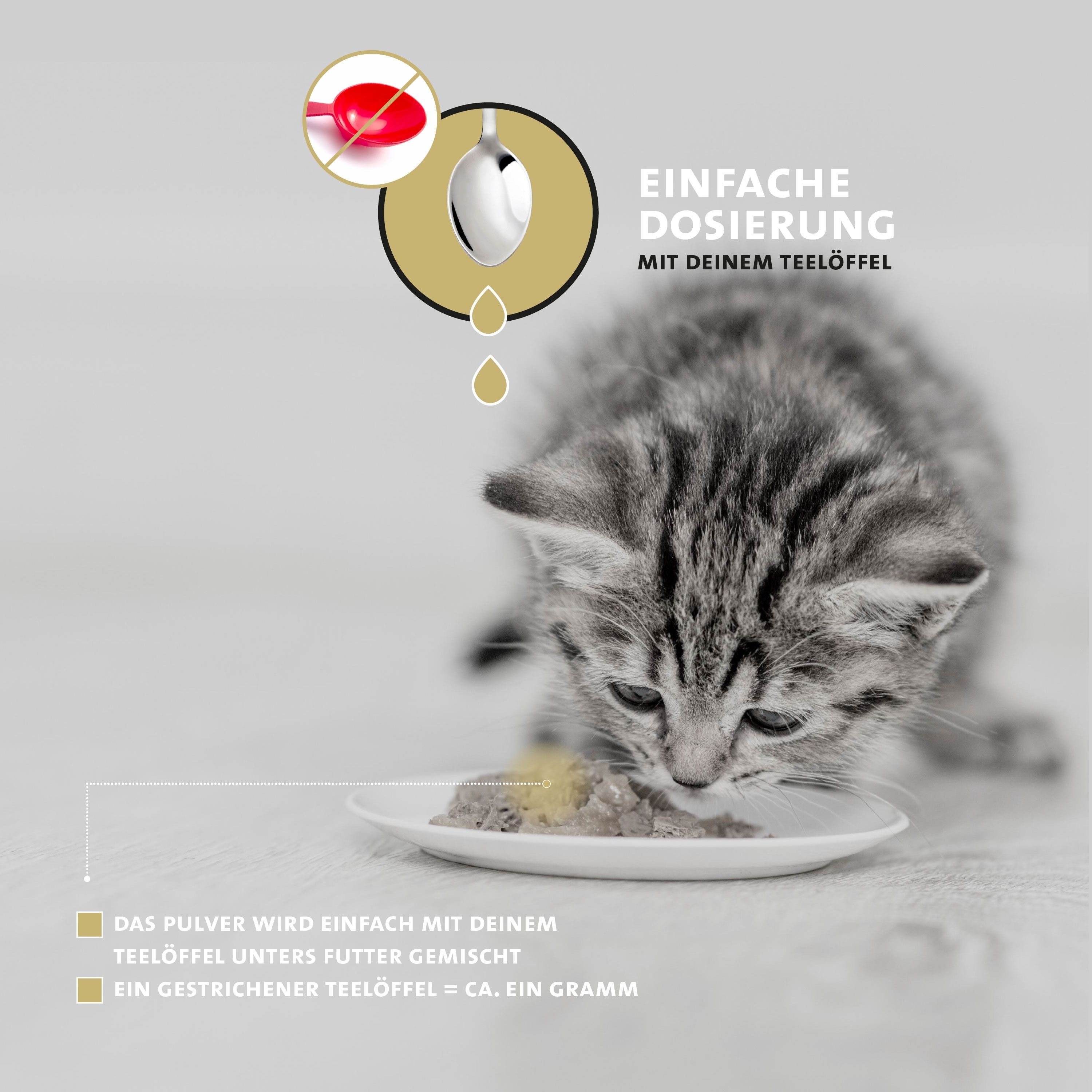 Katze isst Futter von Teller. Text: Einfache Dosierung mit deinem Teelöffel. Pulver wird mit Futter gemischt.