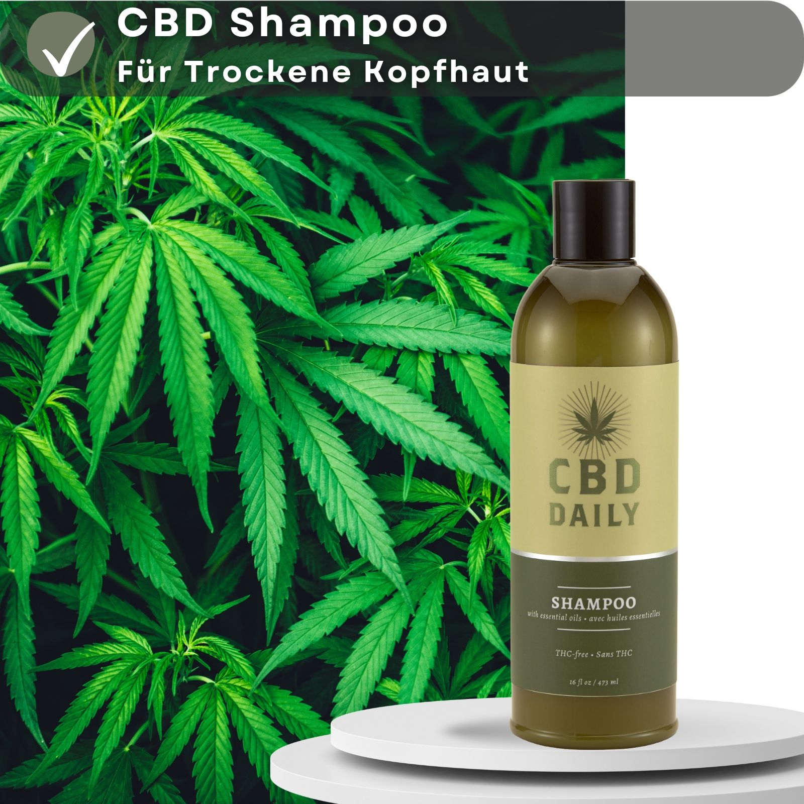 CBD-Shampoo-Flasche. Text: CBD Shampoo, für trockene Kopfhaut.