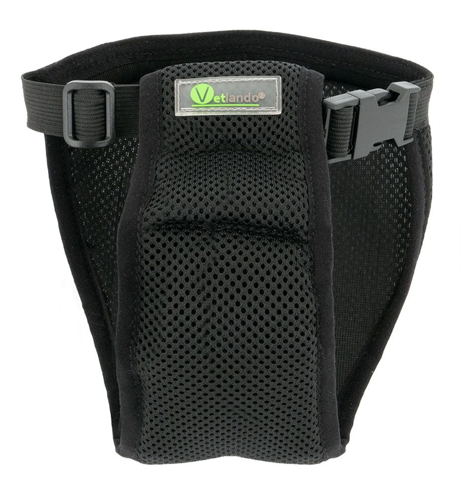 Schwarzes Läufigkeitshöschen mit Mesh-Einsatz, verstellbarem Gummiband und Klickverschluss. Logo-Etikett.
