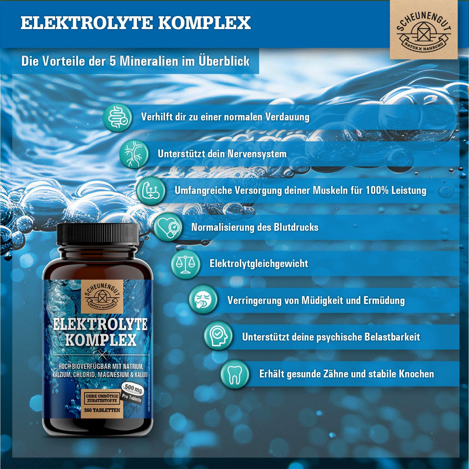 Flasche Elektrolyte Komplex. Rechts: Liste mit Vorteilen wie Verdauung, Nervensystem, Muskeln.