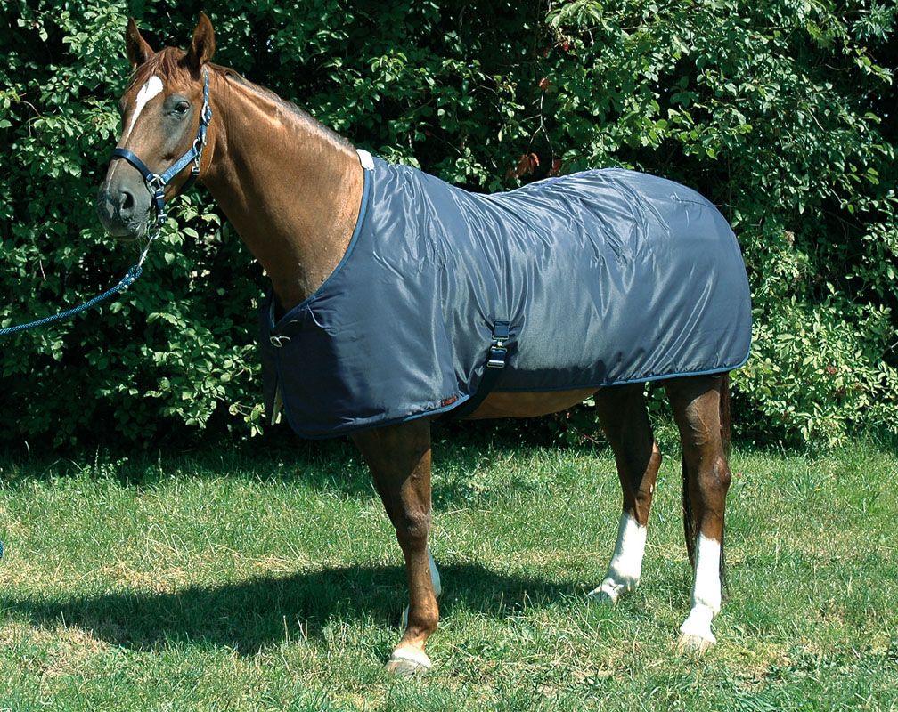 Schwarze Pferdedecke auf einem braunen Pferd. Das Pferd steht auf einer Wiese.