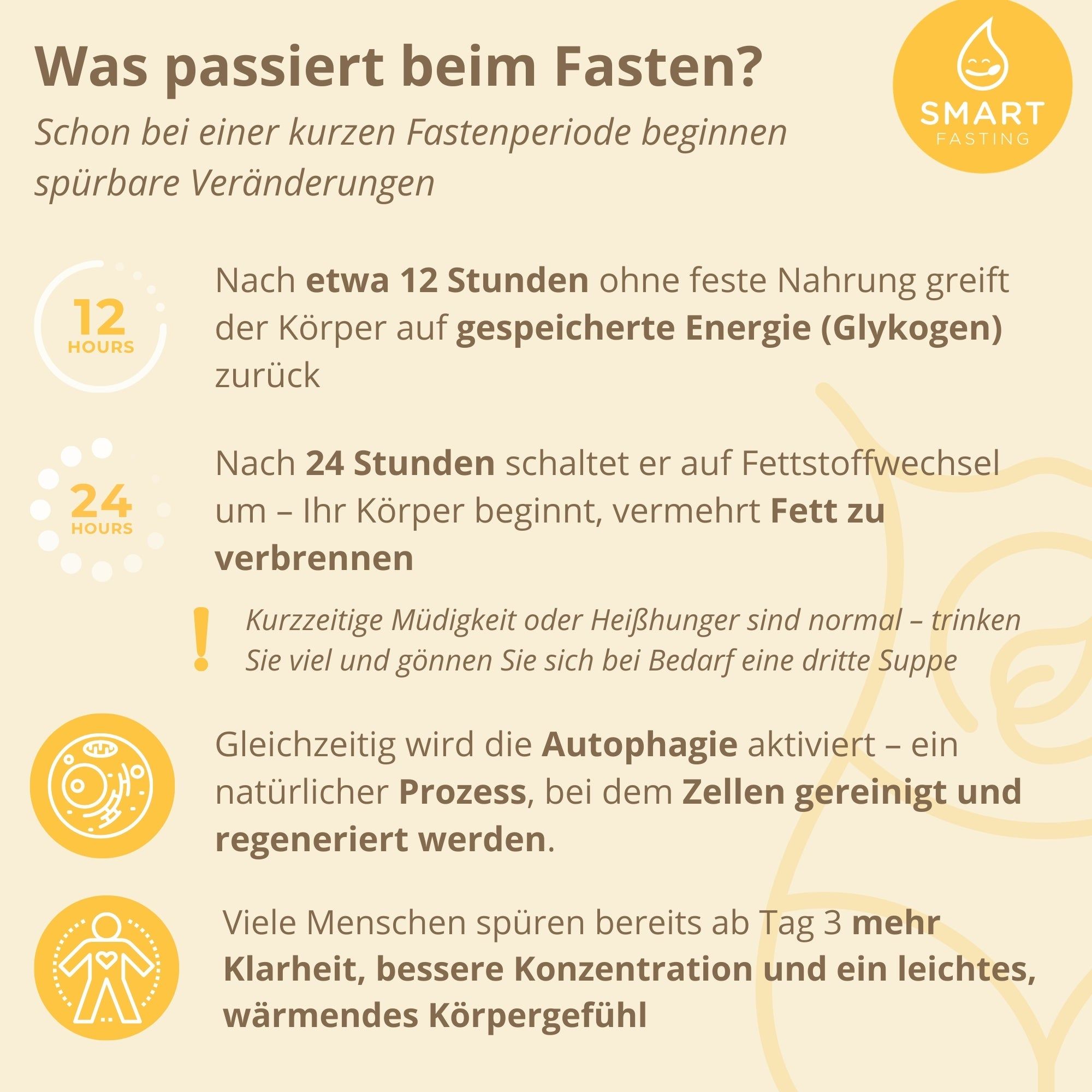 Smart Fasting® BALANCE THREE Fastenbox - 3 Tage - vegan, natürlich - Fasten nach Buchinger