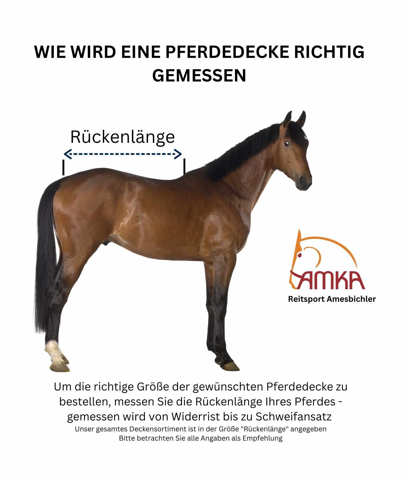 Pferd, Seitenansicht, Rückenlänge markiert. Text: Wie wird eine Pferdedecke richtig gemessen. Logo: AMKA Reitsport.