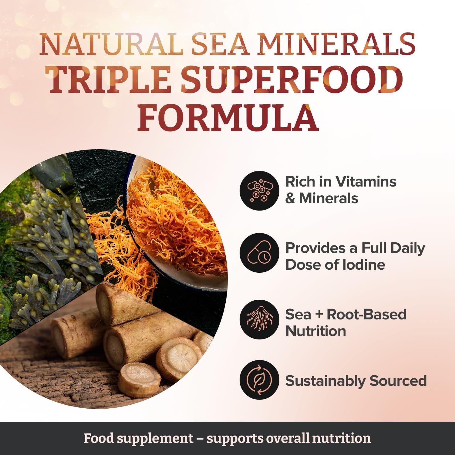 Pureclinica Seamoss-Komplex Kapseln