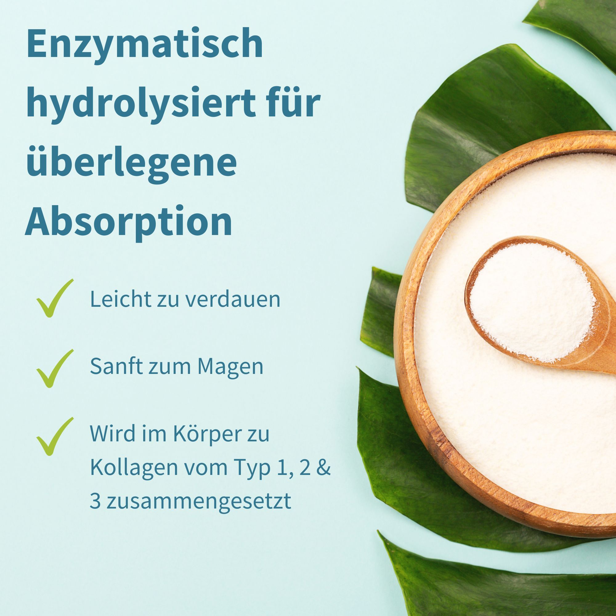 Kollagenpulver in Holzschale, mit Text über enzymatische Hydrolyse und Absorption.