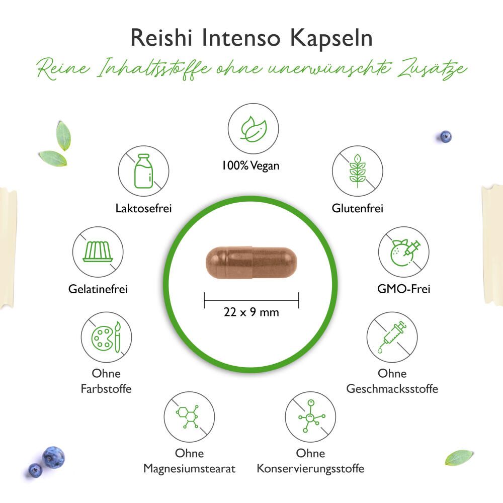 Braune Kapsel, 22x9 mm, umgeben von Icons: vegan, laktosefrei, glutenfrei, ohne Farbstoffe, ohne Geschmacksstoffe, ohne Konservierungsstoffe.