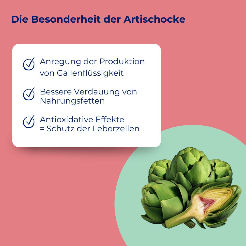 Artischocken und Text. Text: Anregung der Produktion von Gallenflüssigkeit, bessere Verdauung, antioxidative Effekte. Hintergrund: rosa.