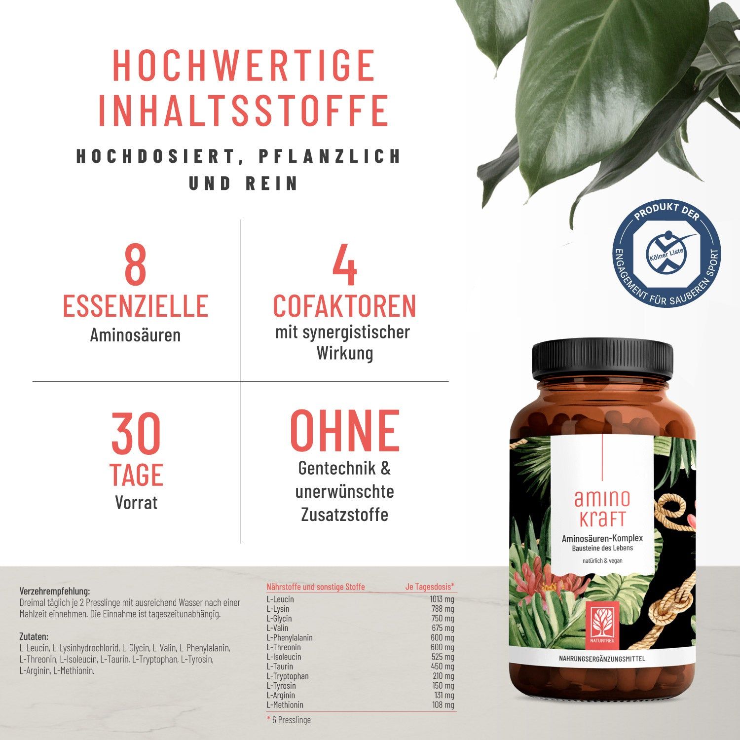 Aminosäuren Komplex hochdosiert vegan - Aminokraft - NATURTREU®