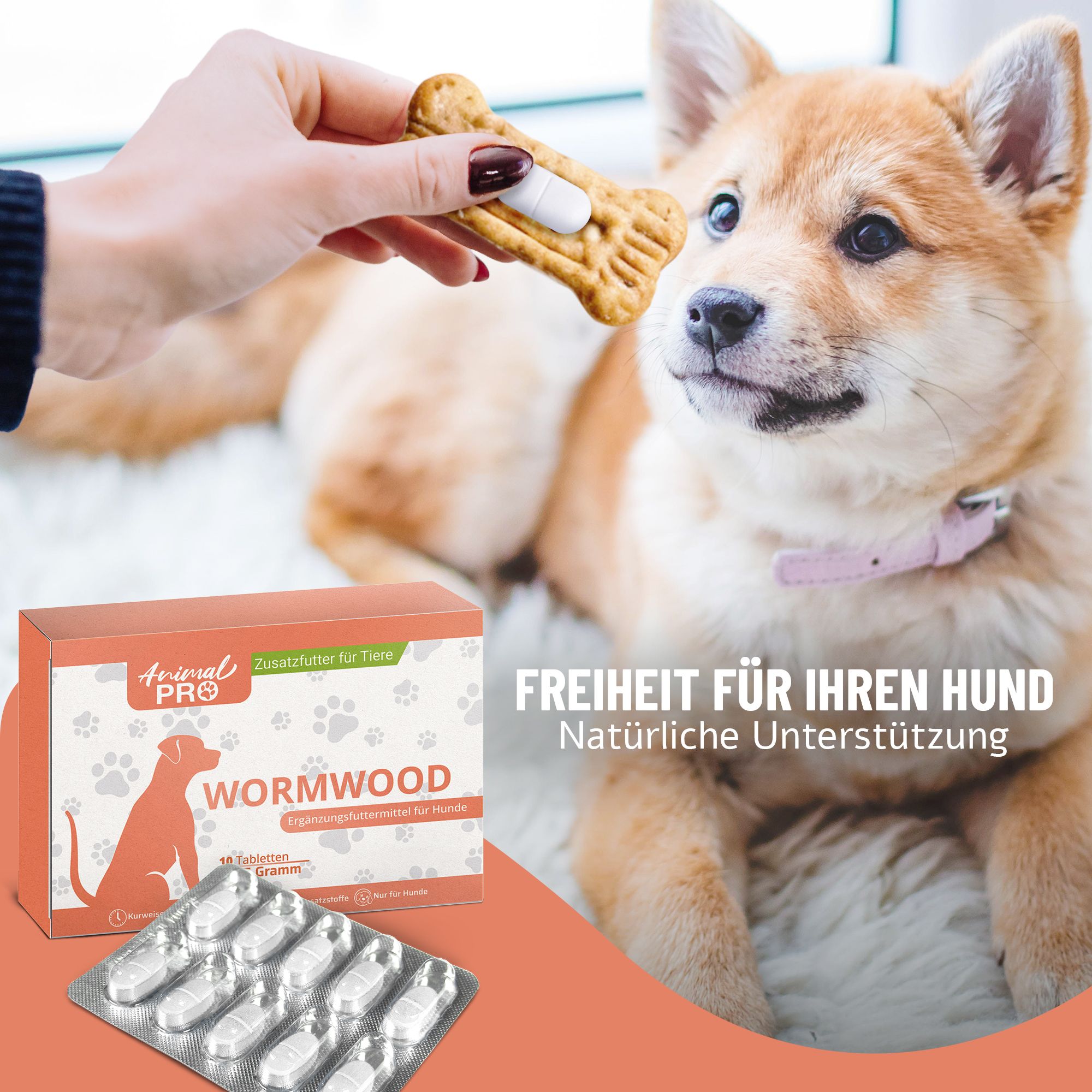 Hundewelpe erhält eine Tablette aus einem Keks. Verpackung "Wormwood" daneben.