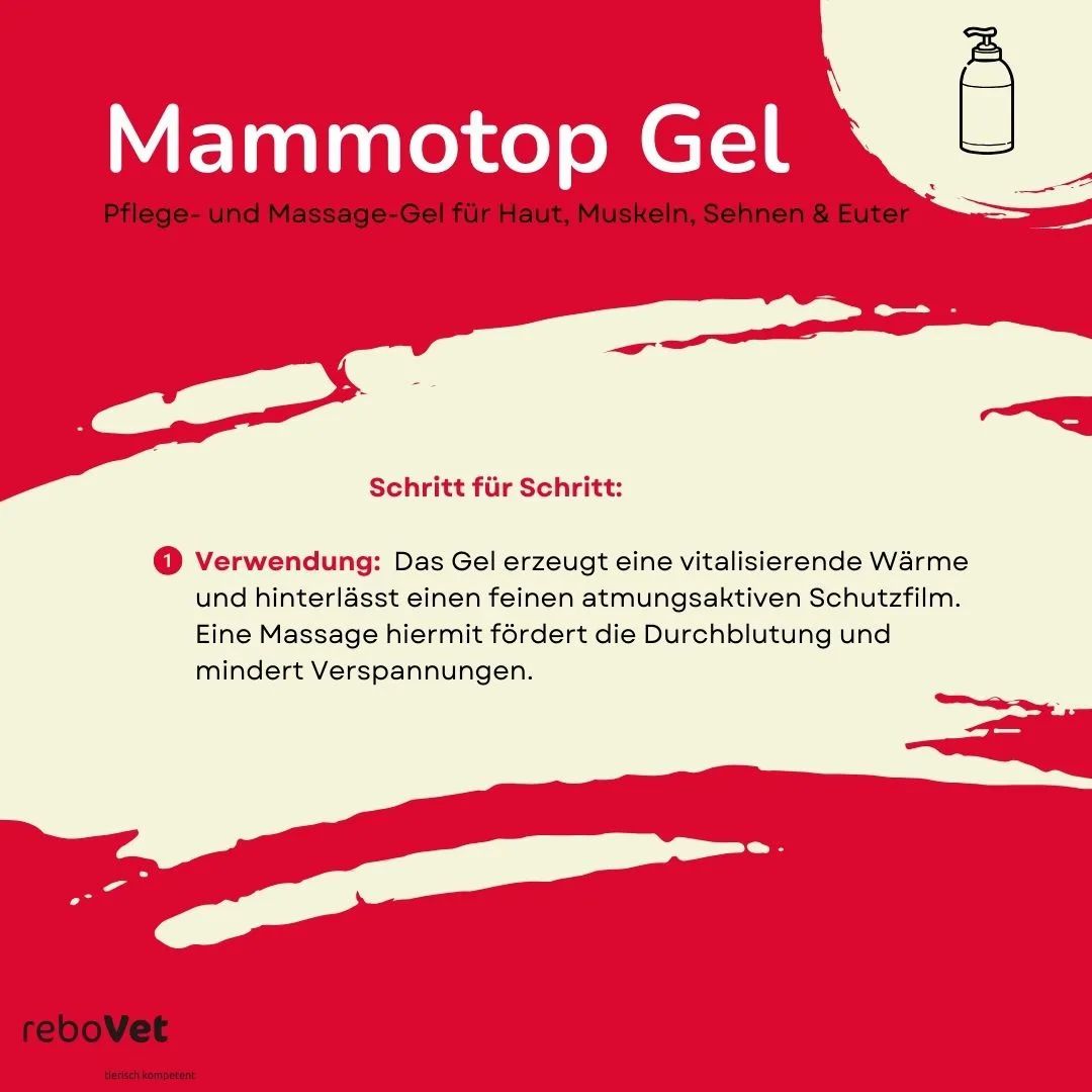 Flasche Mammotop Gel, Pflege- und Massage-Gel für Haut, Muskeln, Sehnen & Euter.