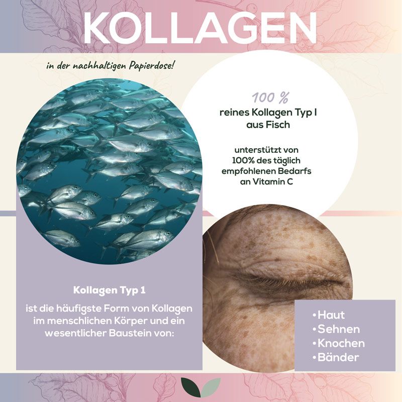 Infografik mit Sanutrition Kollagen mit Vitamin C. Zeigt Vorteile und Inhaltsstoffe. 180 Kapseln.