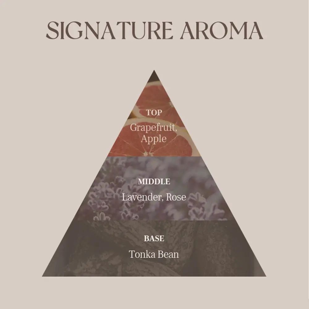 Duftpyramide mit den Noten Grapefruit, Apfel, Lavendel, Rose und Tonkabohne.