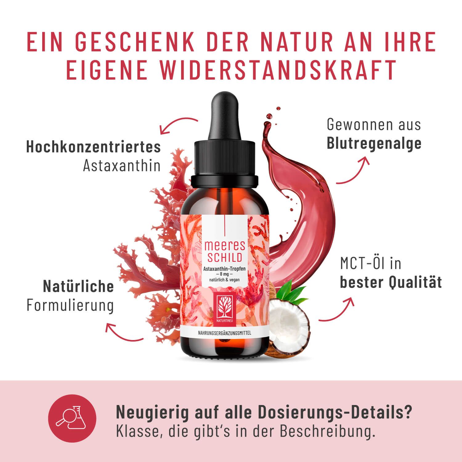 Astaxanthin-Tropfenflasche mit Pipette, umgeben von roten Algen, Kokosnuss und Text.