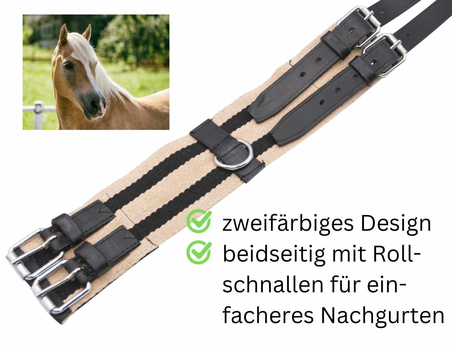Longiergurt, zweifarbiges Design, beidseitig mit Rollschnallen. Beige und schwarze Streifen.