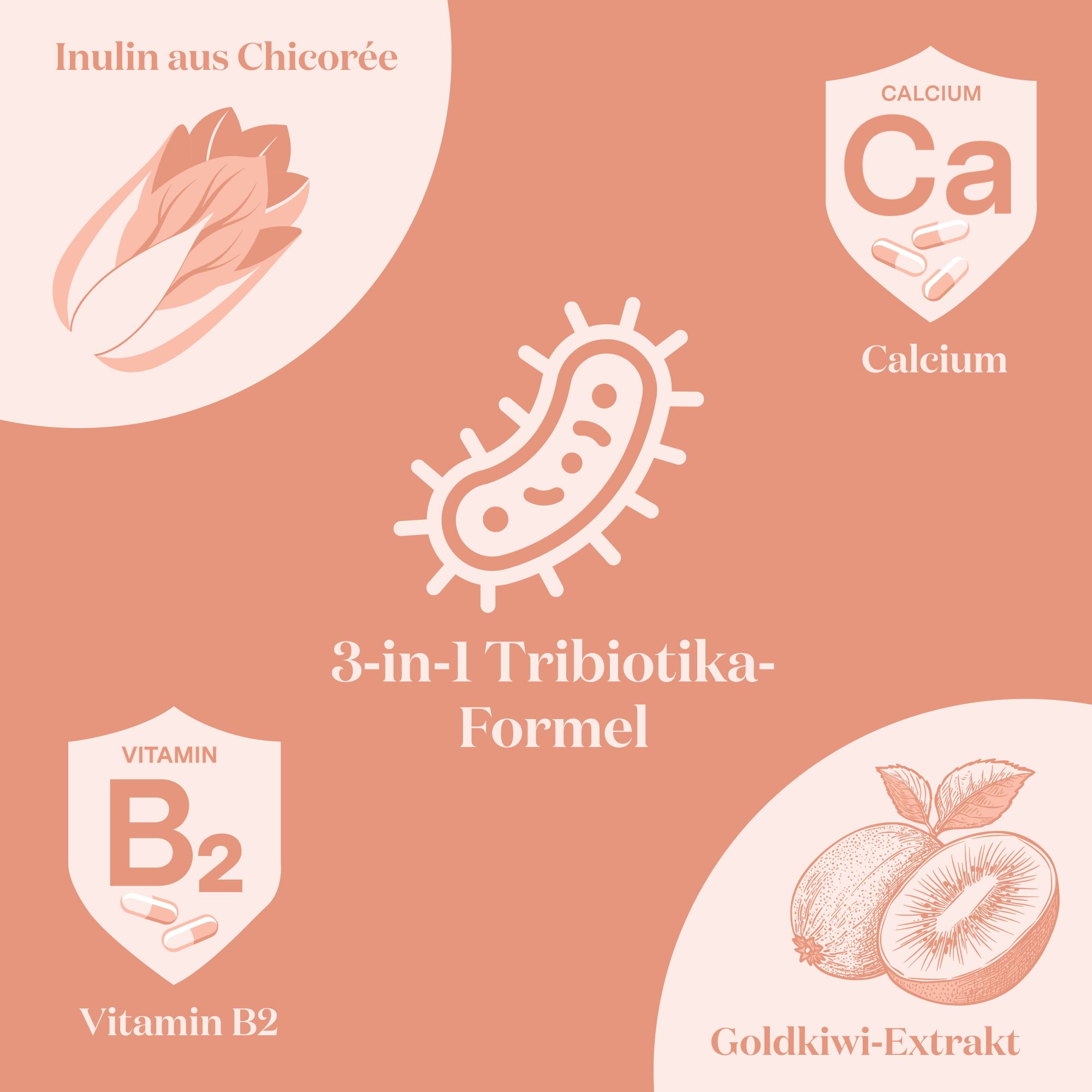 Glow25 Balance Inhaltsstoffe: Chicorée-Inulin, Calcium, Vitamin B2, Kiwi-Extrakt.