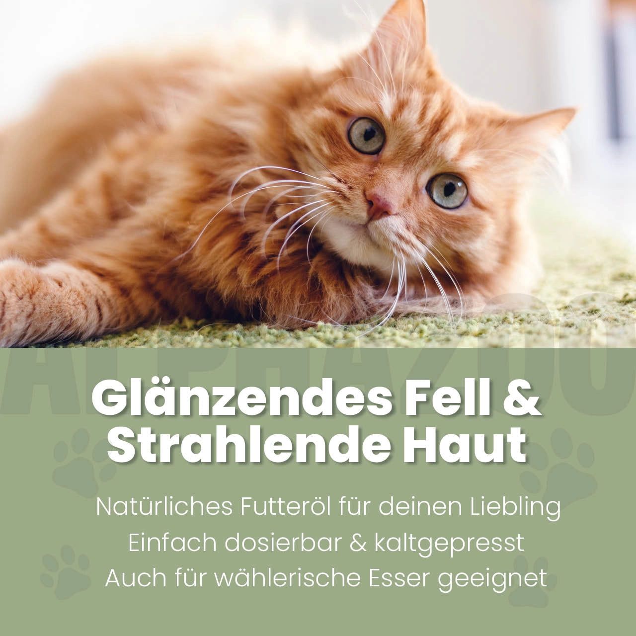 Rote Katze liegt auf grünem Teppich. Text: Glänzendes Fell & Strahlende Haut. Natürliches Futteröl für deinen Liebling.
