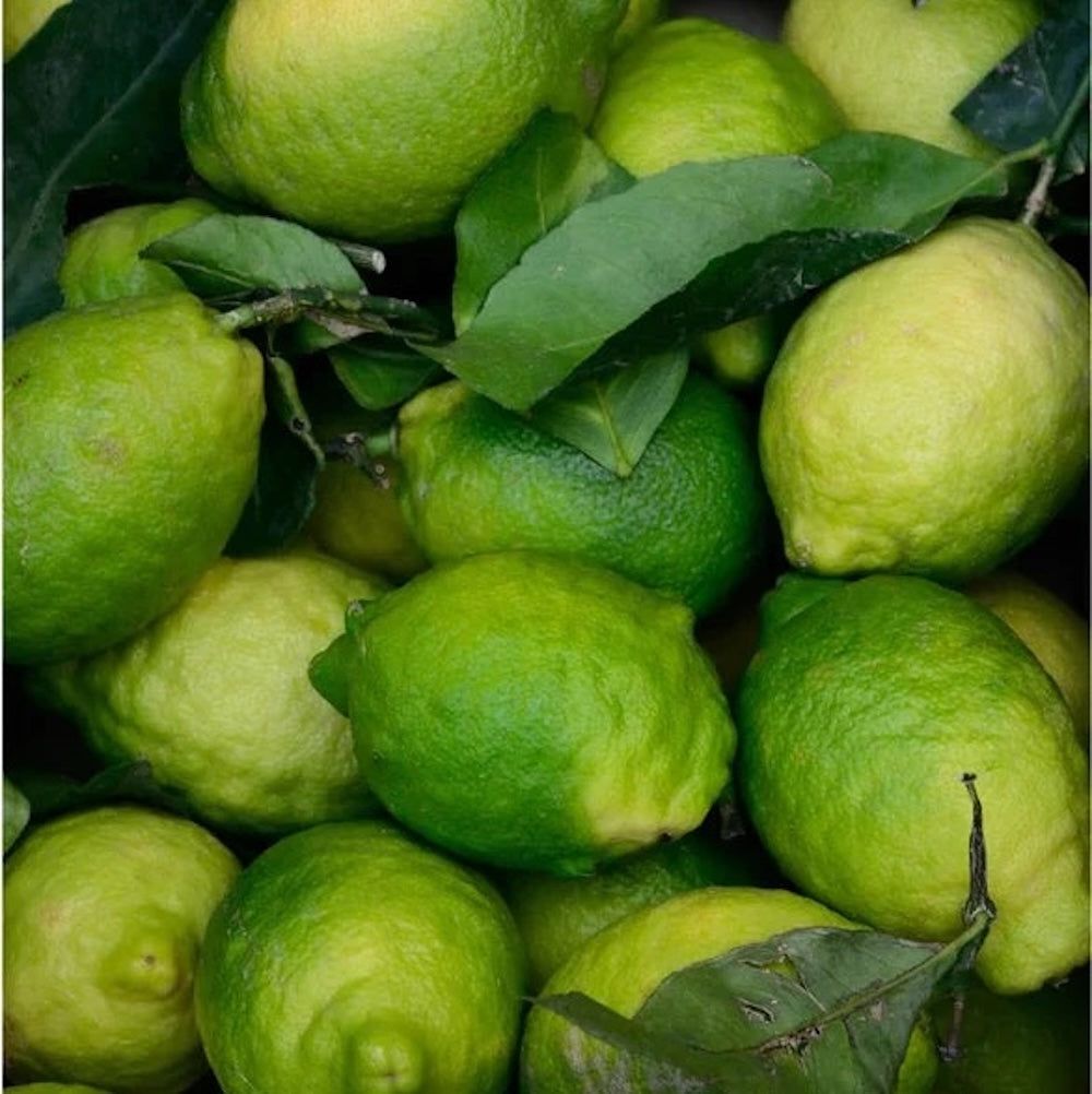 Nahaufnahme von grünen Limetten und Blättern. Mehrere Früchte und Blätter liegen zusammen.