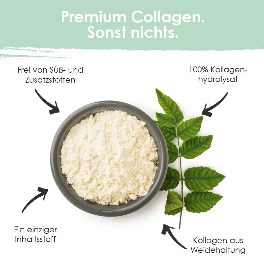 Schale mit Kollagenpulver. Pfeile zeigen auf: Einziger Inhaltsstoff, 100% Kollagenhydrolysat, Kollagen aus Weidehaltung. Daneben Blätter.