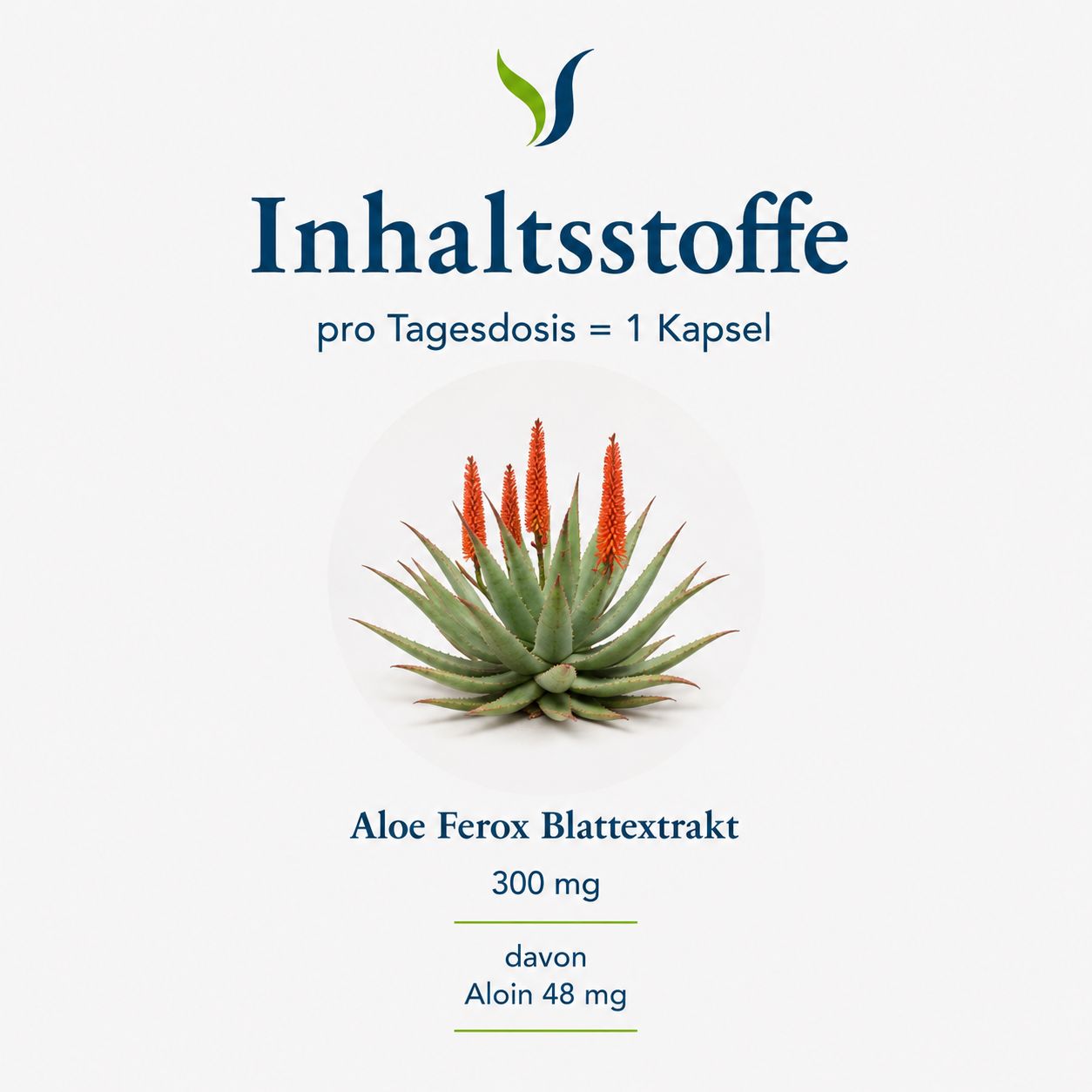 Aloe Ferox Pflanze mit Blüten, daneben Text über Inhaltsstoffe und 300 mg Extrakt.