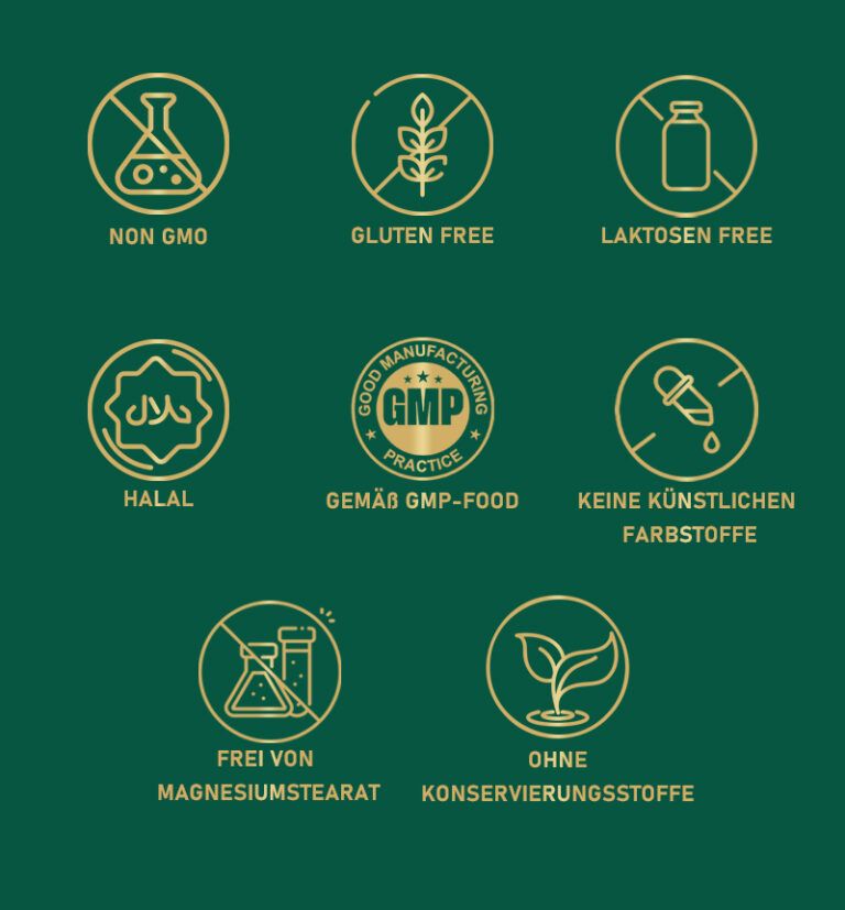 Verschiedene goldfarbene Symbole auf grünem Hintergrund. Enthält Symbole für: Non-GMO, glutenfrei, laktosefrei, Halal, GMP, keine künstlichen Farbstoffe.