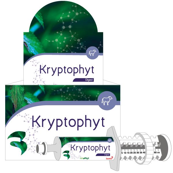 Verpackung und Injektor von KryptoPhyt. Auf der Verpackung steht "KryptoPhyt Digest". Der Injektor hat eine Skala von 5 bis 60 cc.