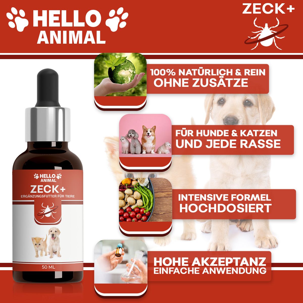 Produktflasche mit Tropfer, umgeben von Bildern. Text: Hello Animal, Zeck+, 100% natürlich, für Hunde & Katzen.