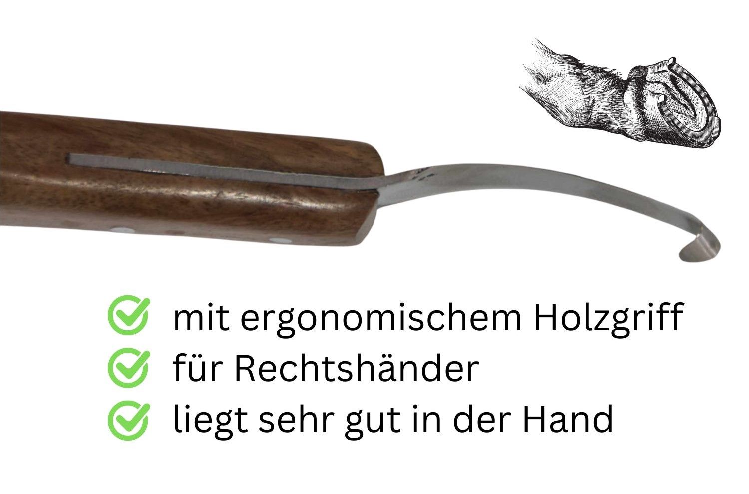 Nahaufnahme eines Hufmessers mit Holzgriff. Text: ergonomischer Holzgriff, für Rechtshänder, liegt gut in der Hand.