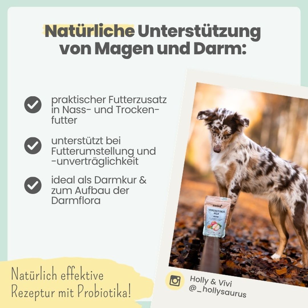 Hund mit Noms+ Verdauungsmix Beutel, unterstützt Futterverträglichkeit.