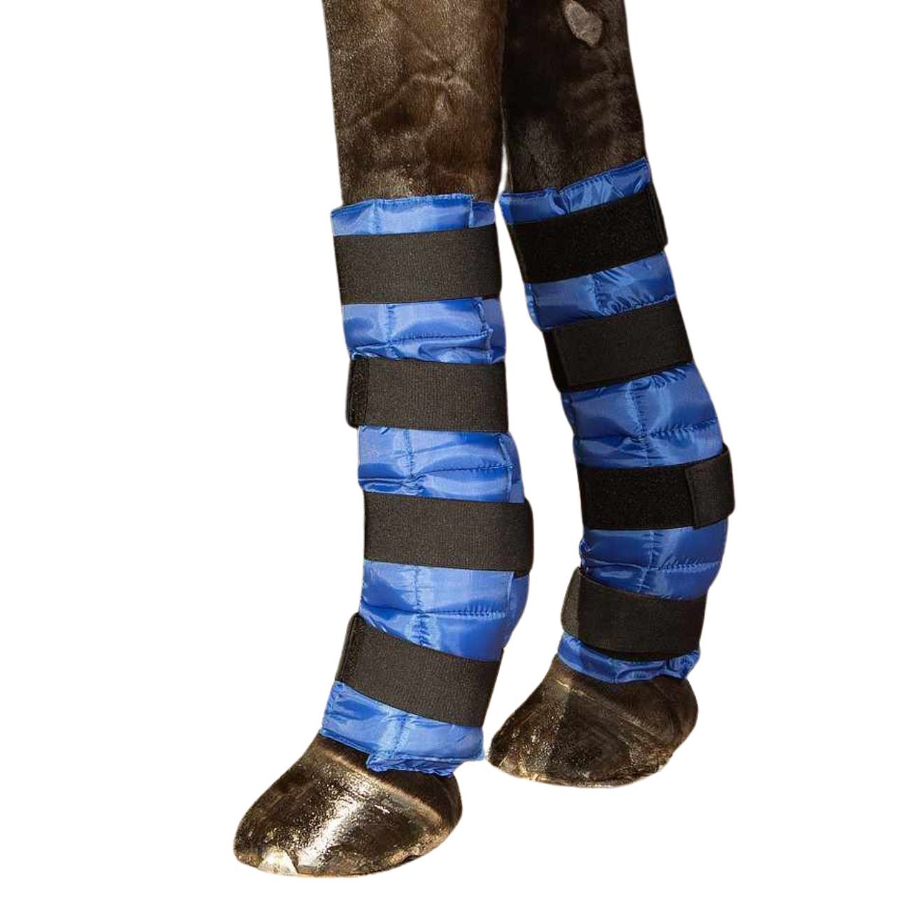 Harry`s Horse Pferde Kühl Gamaschen Cold Wraps 2 Stück Kühlbandage Pferd