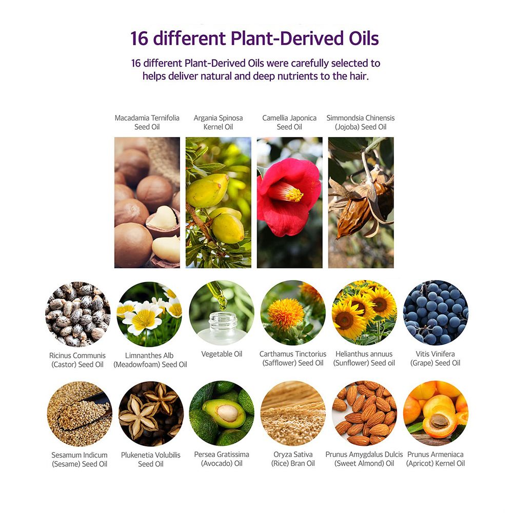 16 verschiedene Pflanzenöle. Abbildungen von Samen, Blüten und Früchten. Text: „16 verschiedene Pflanzenöle“.