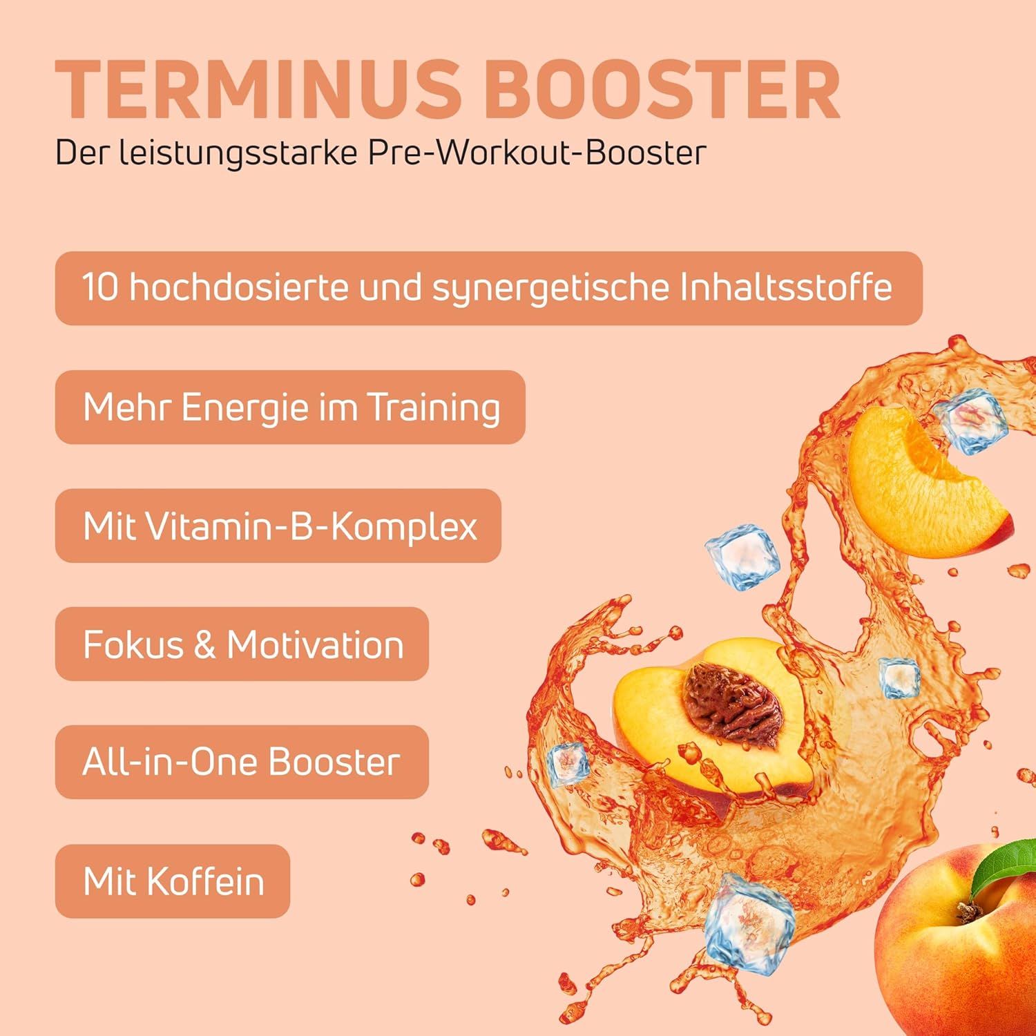 Pfirsich-Eistee-Motiv mit Eiswürfeln und Pfirsichhälften. Text: TERMINUS BOOSTER, 10 Inhaltsstoffe, Energie, Vitamin B-Komplex, Fokus.