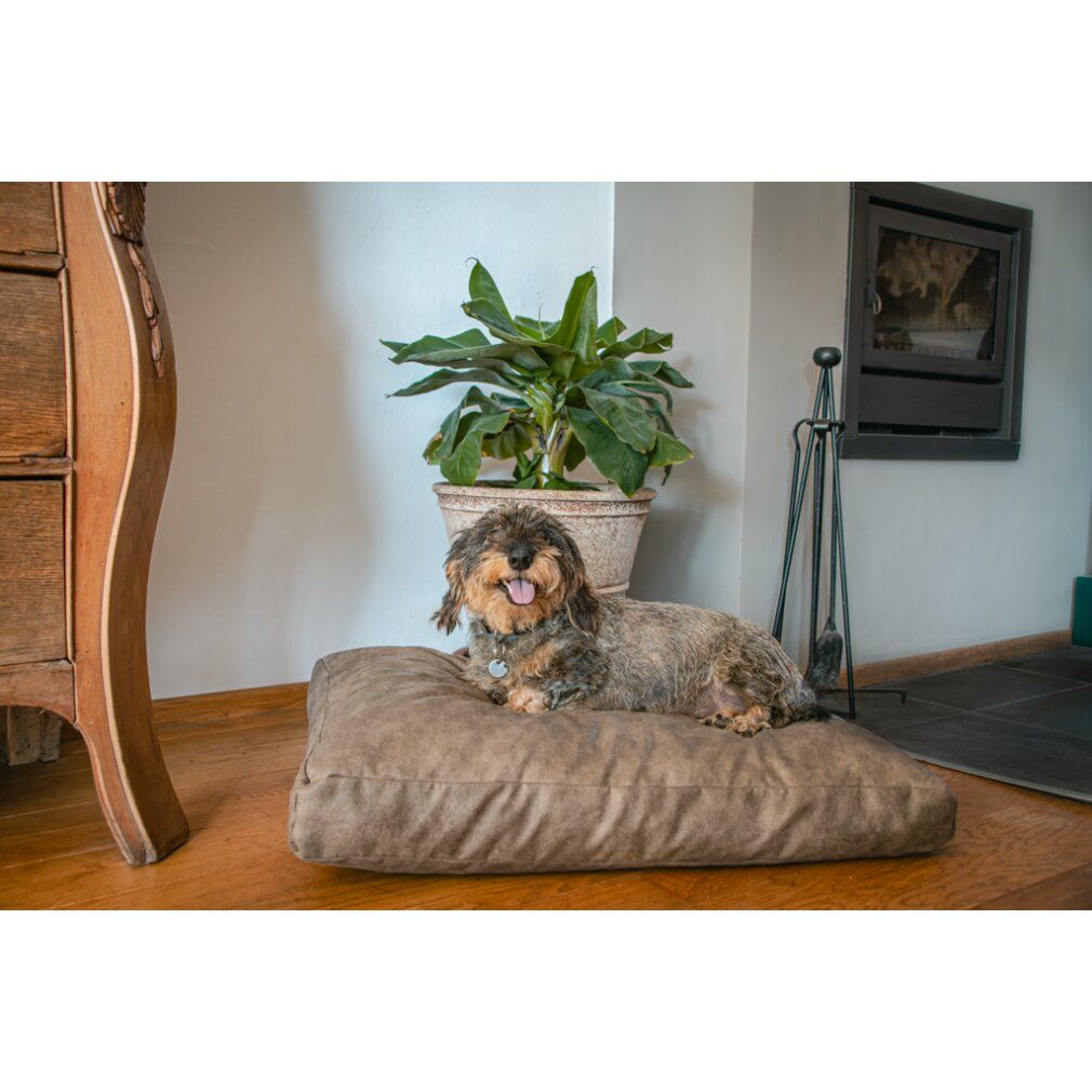 Let's Sleep Plush Pillow Hundebett xl Anthrazit