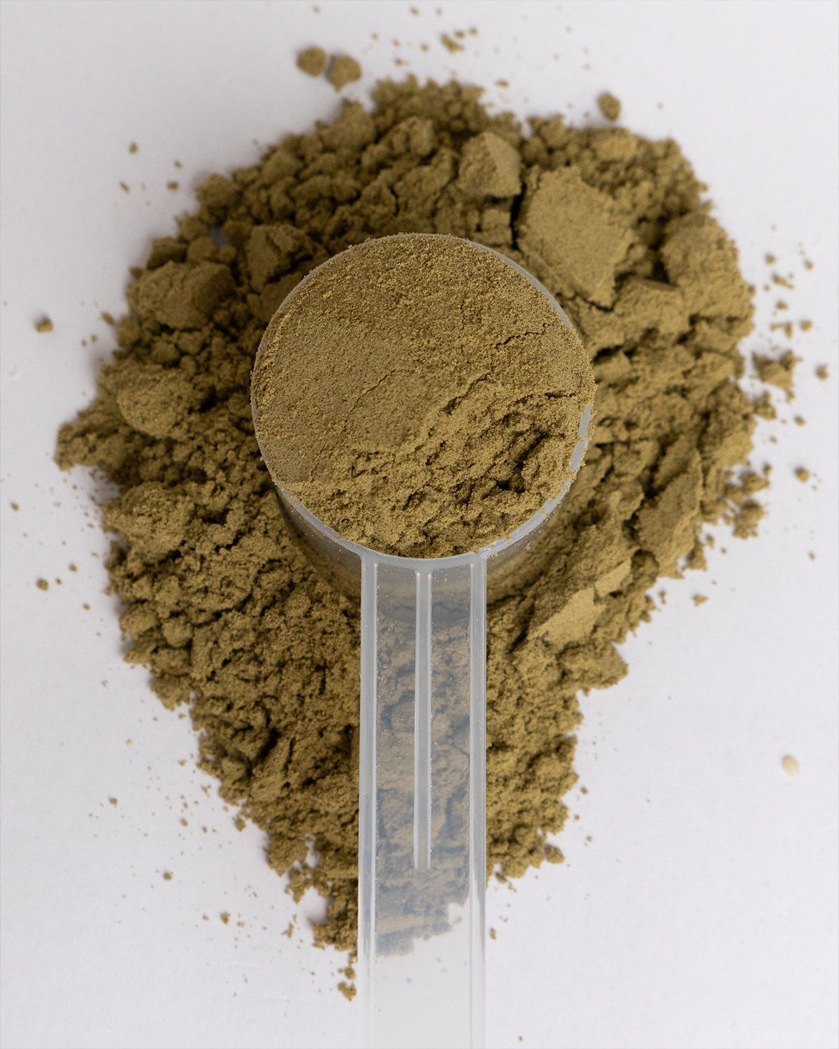 Nahaufnahme von Hanfprotein Pulver in einem Messlöffel.