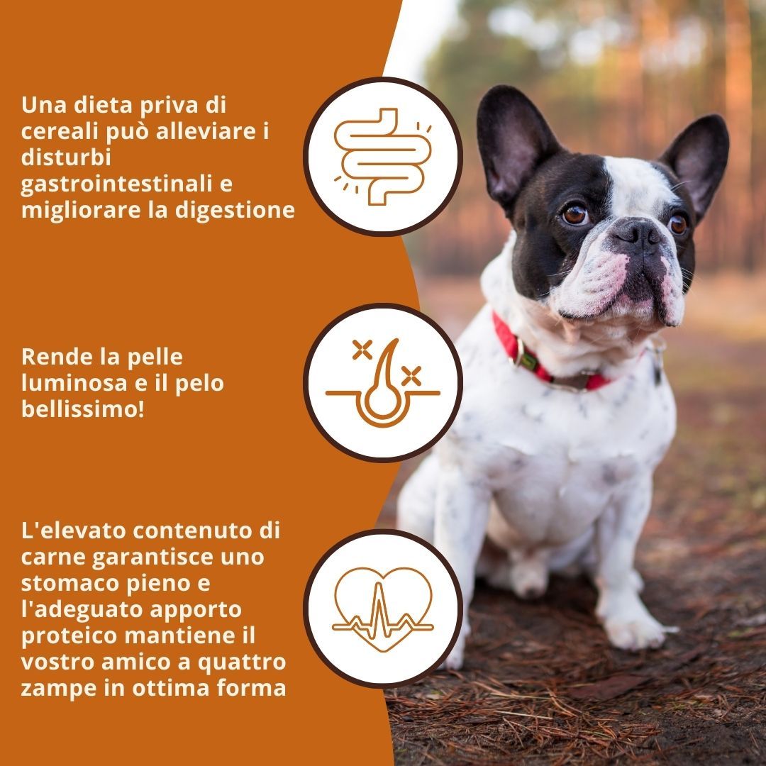 Hund mit Text: Eine getreidefreie Ernährung kann Magen-Darm-Beschwerden lindern. Haut und Fell strahlen. Hoher Fleischanteil.