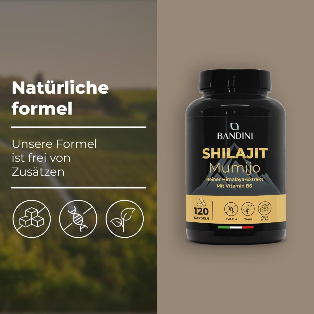 Schwarze Bandini Shilajit Mumijo Kapseln-Dose. Aufschrift: 120 Kapseln. Frei von Zusätzen. Symbole.