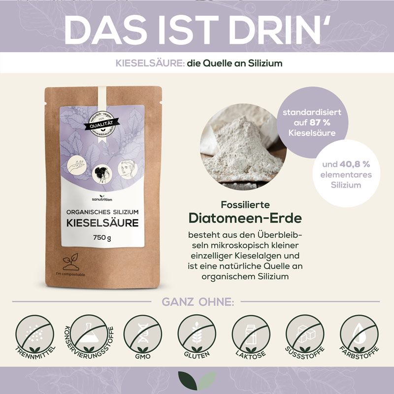 Infografik mit Produktverpackung. Text: Organisches Silizium Kieselsäure, 750g. Diagramm mit Inhaltsstoffen und 'Ganz ohne' Kennzeichnungen.