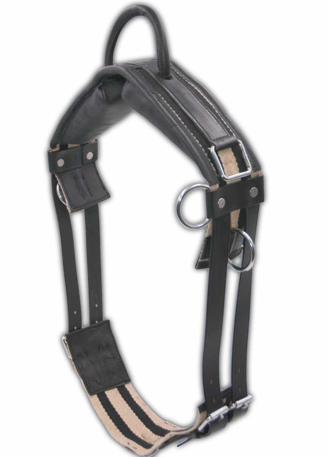 Longiergurt, schwarz-beige, mit Metallringen und Schnallen. Mit Griff.