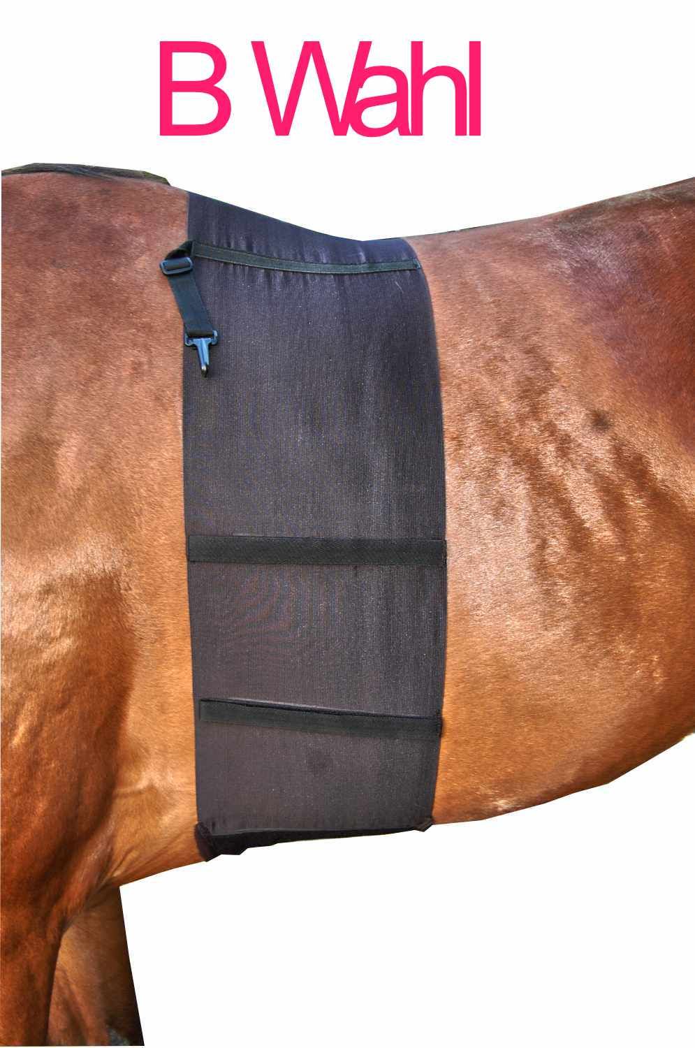 Schwarzer Sporenschutz am Pferderücken. Mit Klettverschluss und B Wahl Schriftzug.