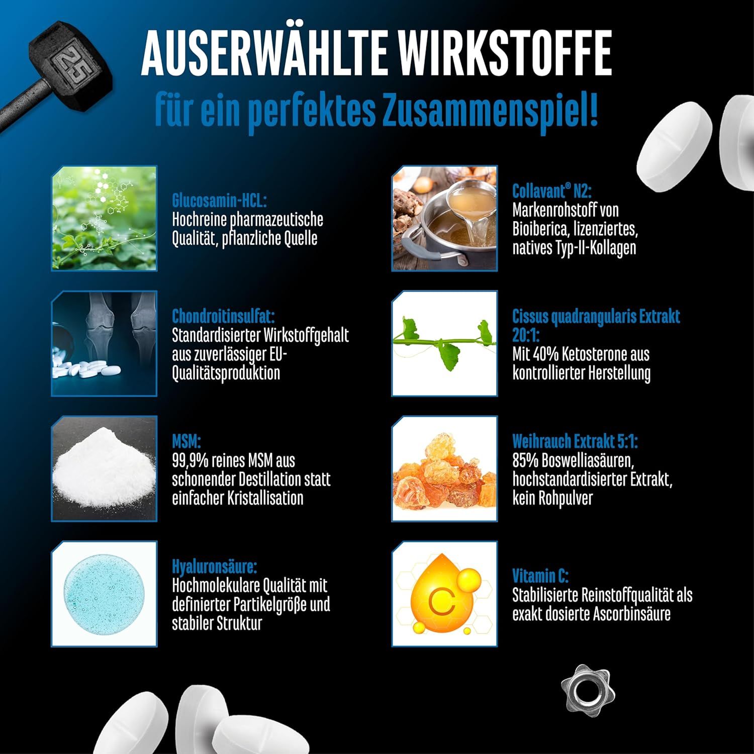 Infografik: Ausgewählte Wirkstoffe. Glucosamin, Chondroitinsulfat, MSM, Hyaluronsäure, Collavant n2, Cissus, Weihrauch, Vitamin C.