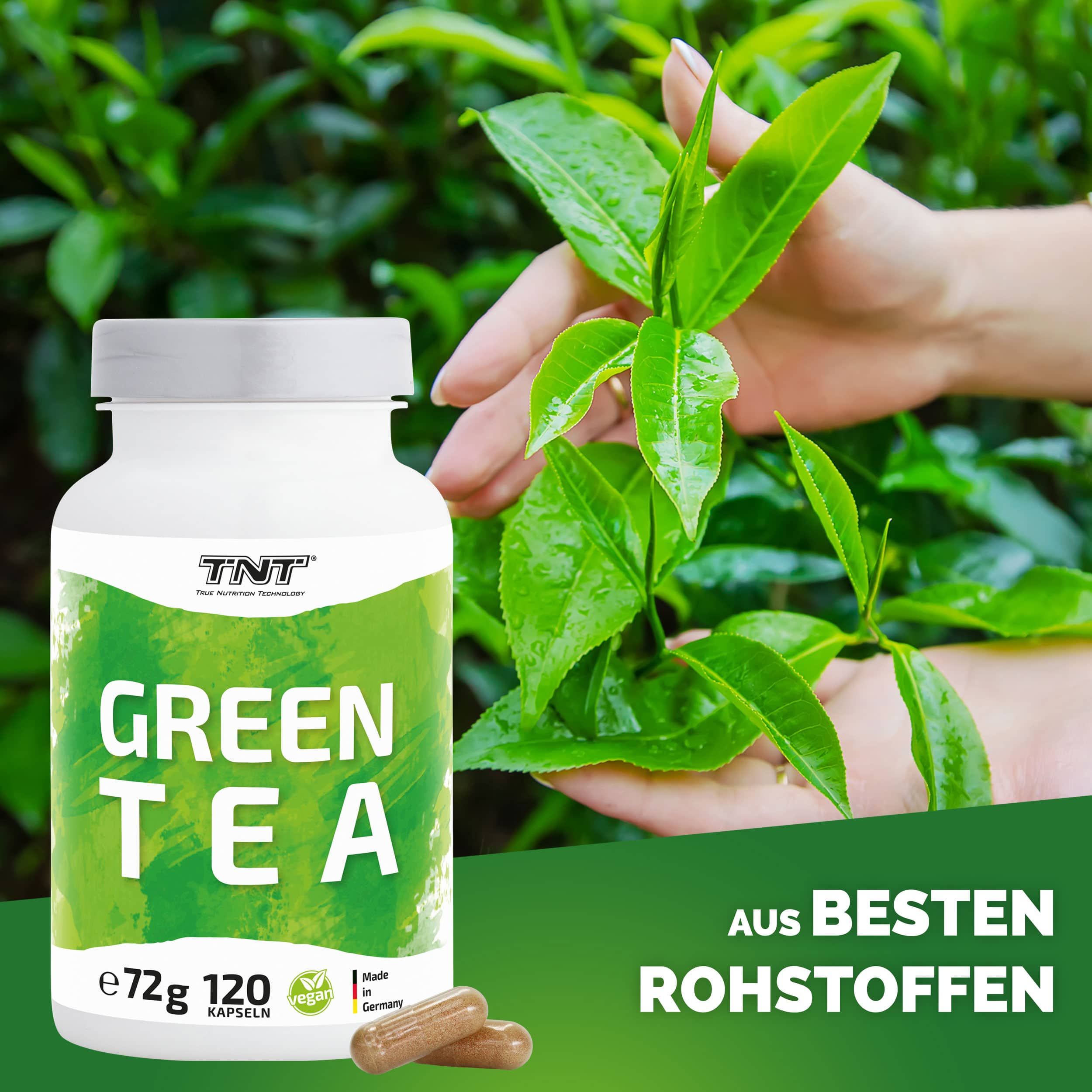 Produktflasche mit grünen Blättern und Kapseln. Text: GREEN TEA, 120 Kapseln. Aufschrift: Aus besten Rohstoffen.