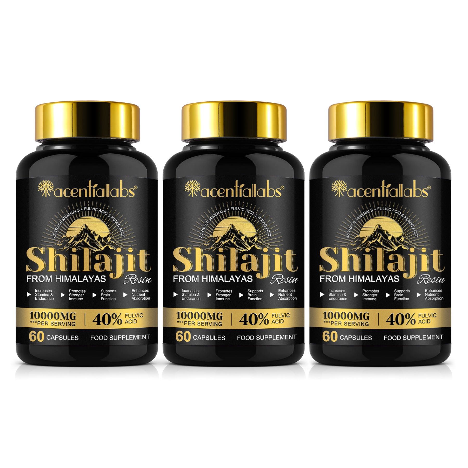 Drei schwarze Kapsel-Dosen mit goldenem Deckel. Aufschrift: Shilajit, 10000mg, 60 Kapseln, 40% Fulvinsäure. Produktpräsentation.